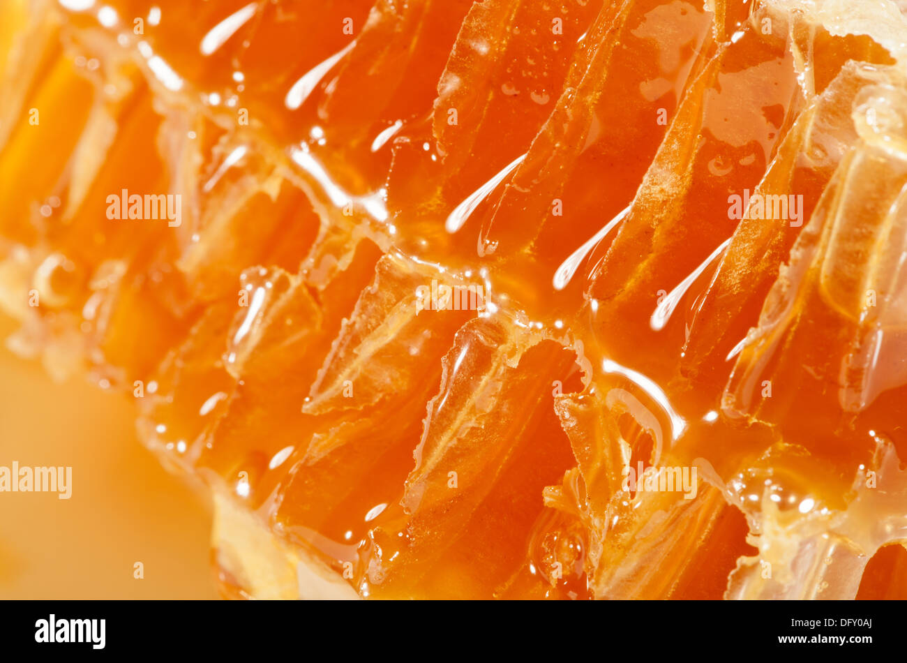 honeycomb macro closeup shiny row Stock Photo