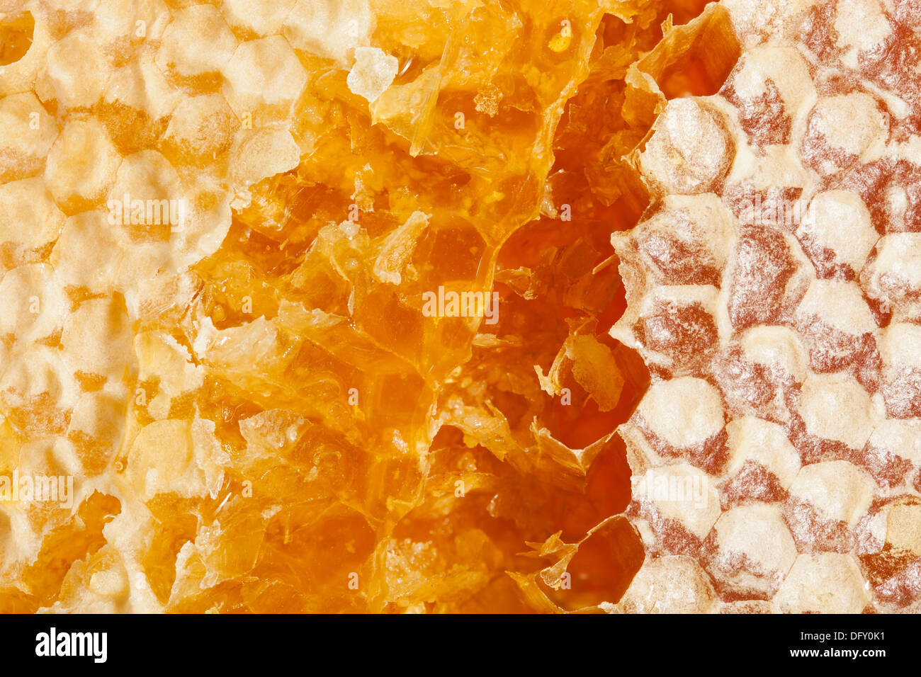 honeycomb macro closeup open cracked Stock Photo