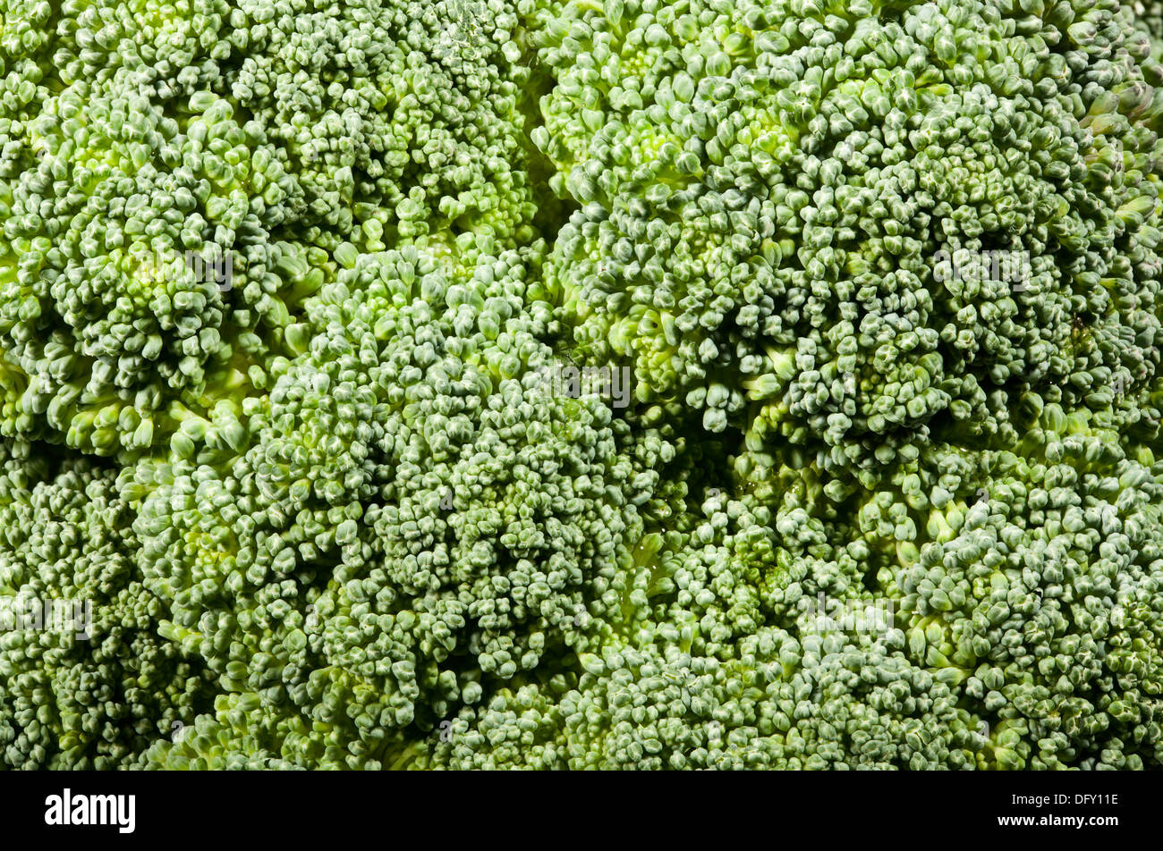 broccoli florets texture background closeup Stock Photo