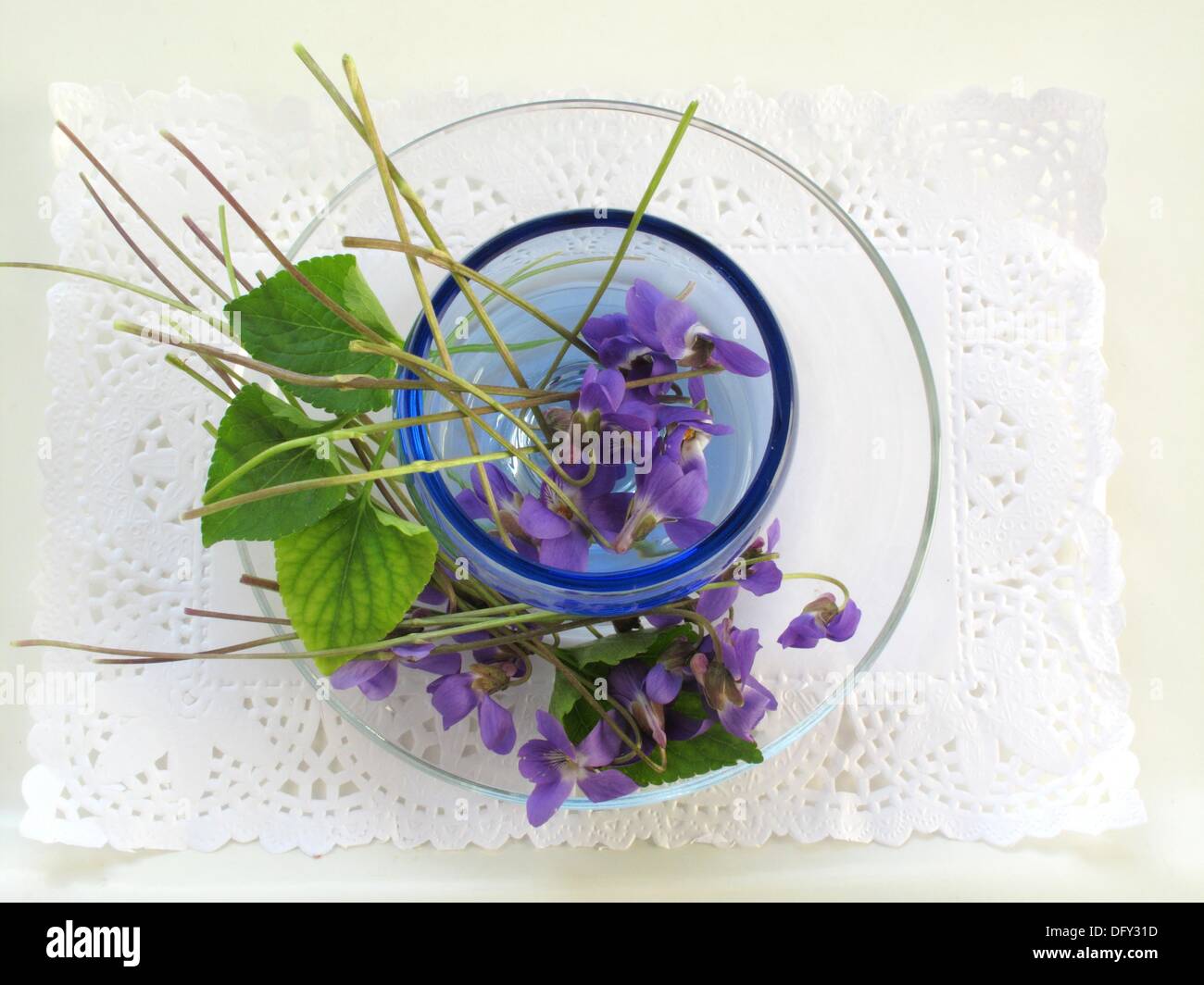 Edible flowers, violets Stock Photo Alamy