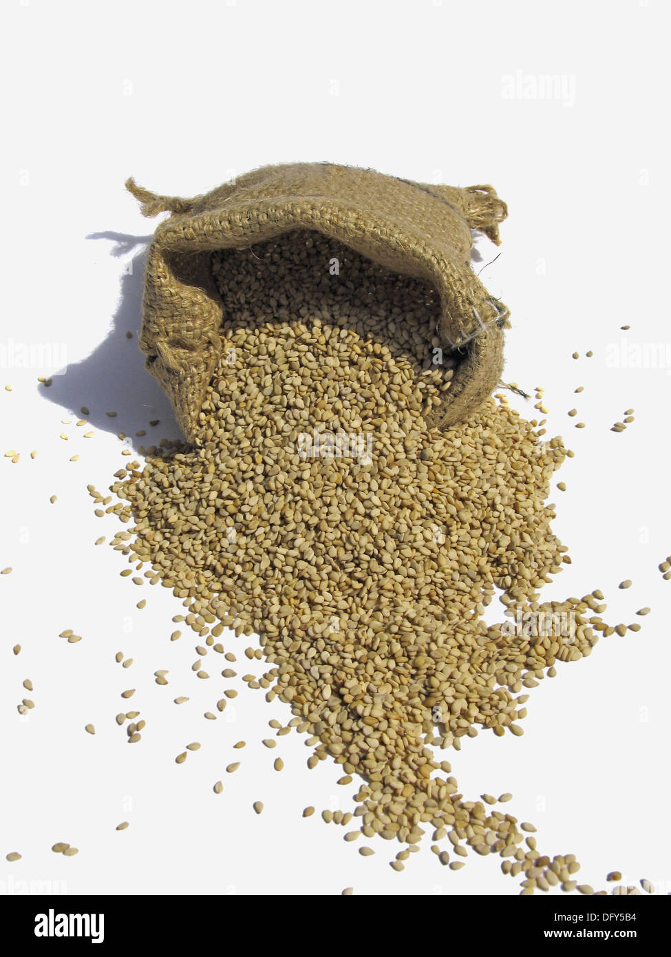 Sesame seeds come from a tall herb plant native to the East Indies. A