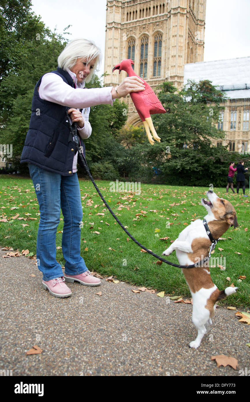 London, UK. Thursday 10th October 2013. Tessa Munt MP with her Jack Russell Terrier, Poppy. MPs and their dogs competing in the Westminster Dog of the Year competition celebrates the unique bond between man and dog - and aims to promote responsible dog ownership. Credit:  Michael Kemp/Alamy Live News Stock Photo