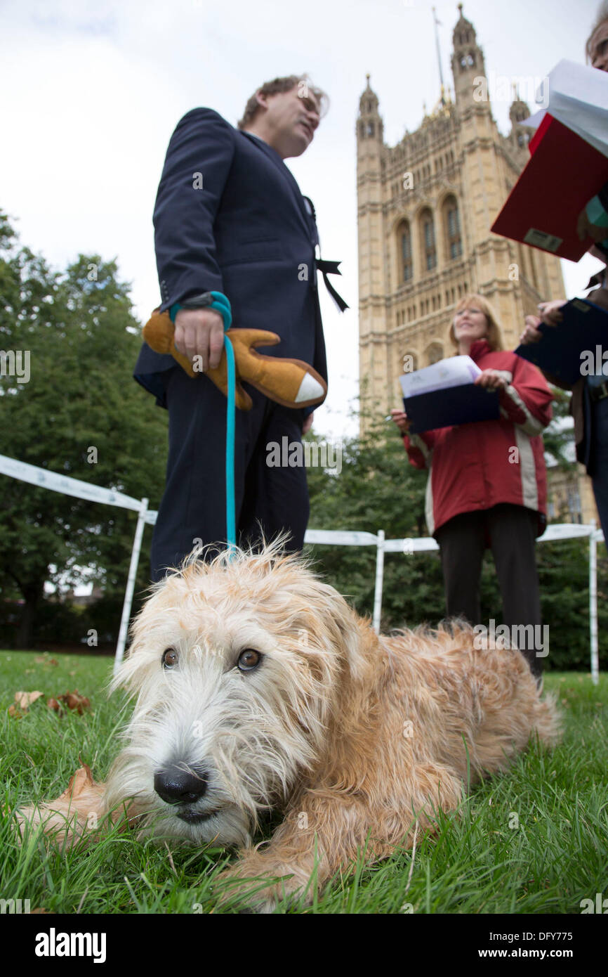 London, UK. Thursday 10th October 2013. Eric Joyce MP and his Irish Wheaten Terrier, Brodie, talking with the judges. MPs and their dogs competing in the Westminster Dog of the Year competition celebrates the unique bond between man and dog - and aims to promote responsible dog ownership. Credit:  Michael Kemp/Alamy Live News Stock Photo