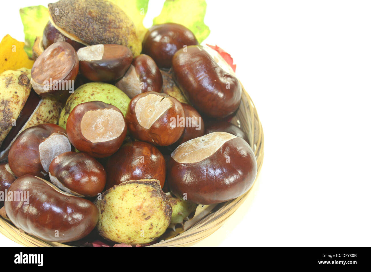 Chestnuts In Spiny Shell High Resolution Stock Photography and Images ...