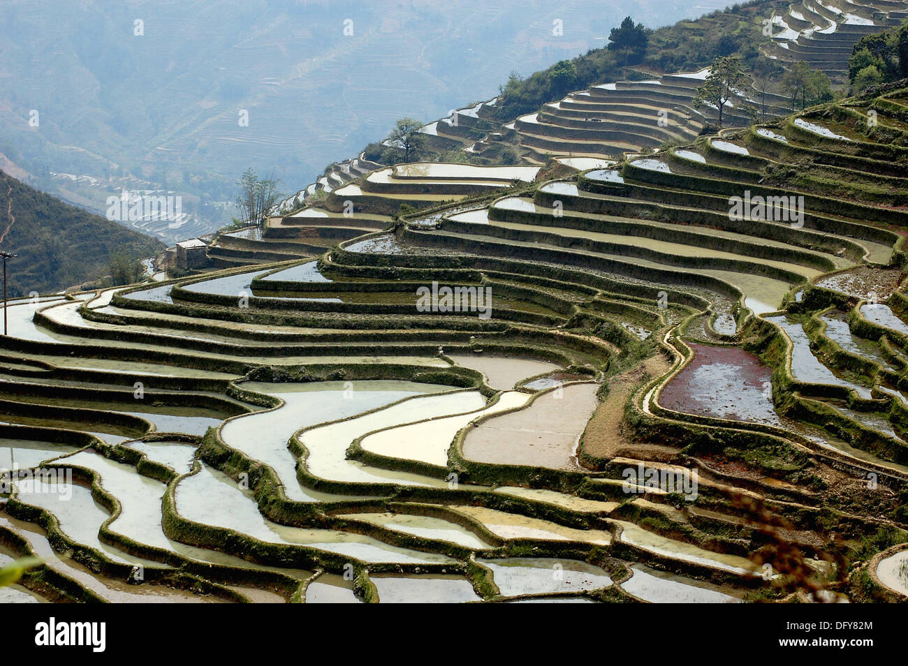 rise terrace in China Yunnan Yunyang Stock Photo Alamy