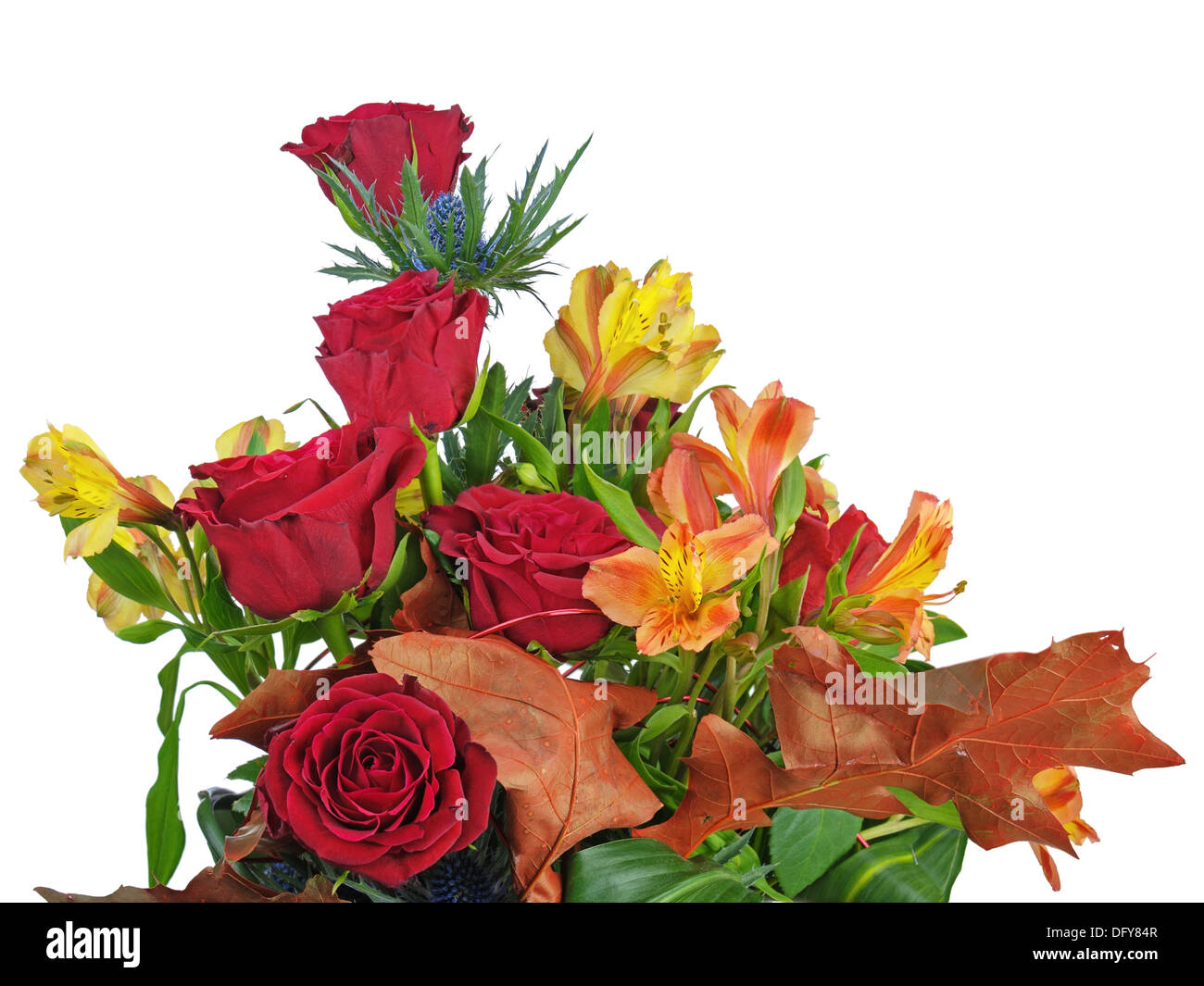 Fragment of bouquet of roses and lilies arrangement centerpiece isolated on white background. Closeup. Stock Photo