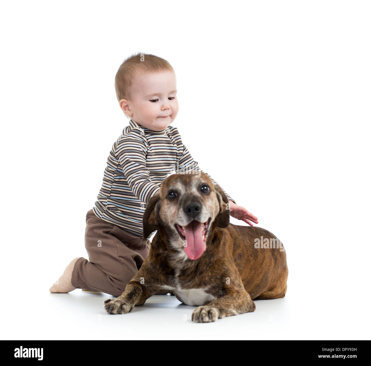 kid boy with dog isolated on white background Stock Photo