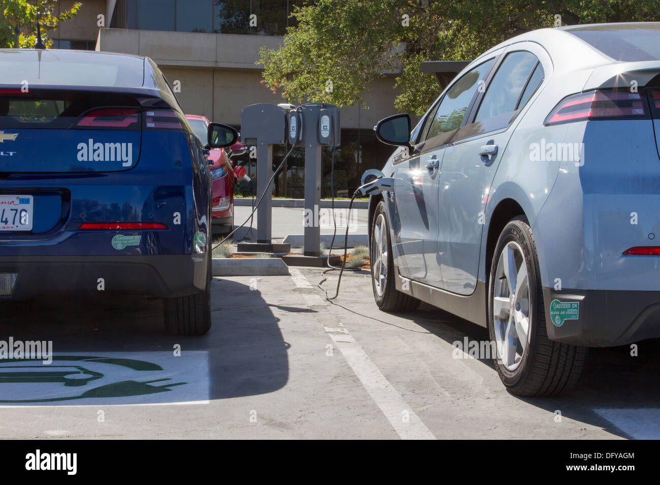 Plug-in electric cars plugged into an EV charging station to charge their batteries in a workplace parking lot Stock Photo