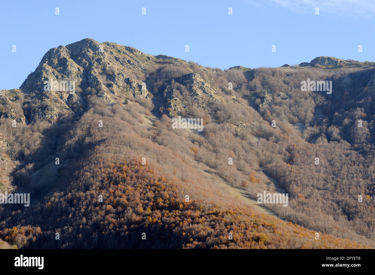 Horizontal picture of beautiful landscape image of mountain forest covered in Autumn fall colors. Stock Photo
