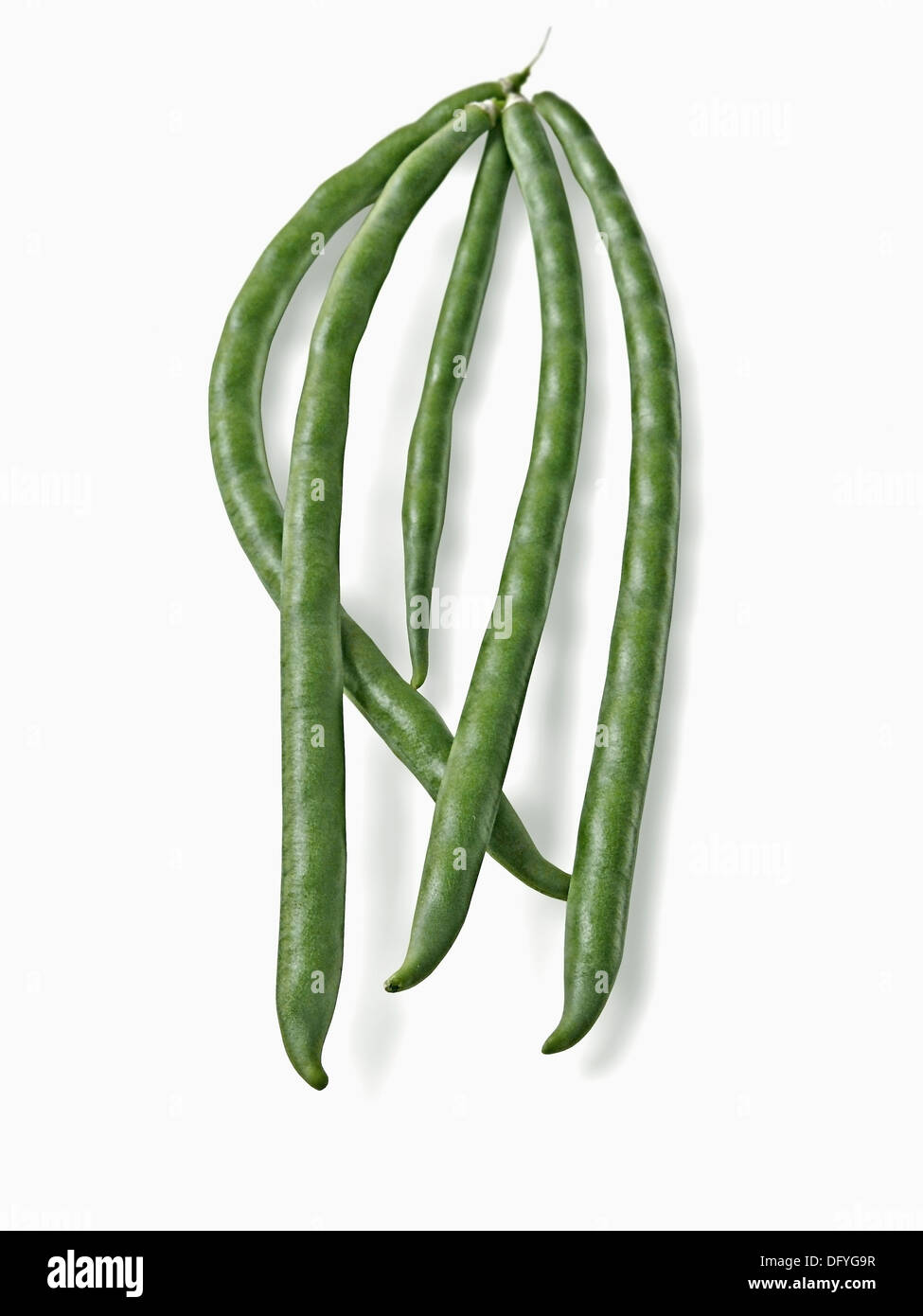 Pods of of BlackEyed Peas, Cowpea Stock Photo Alamy