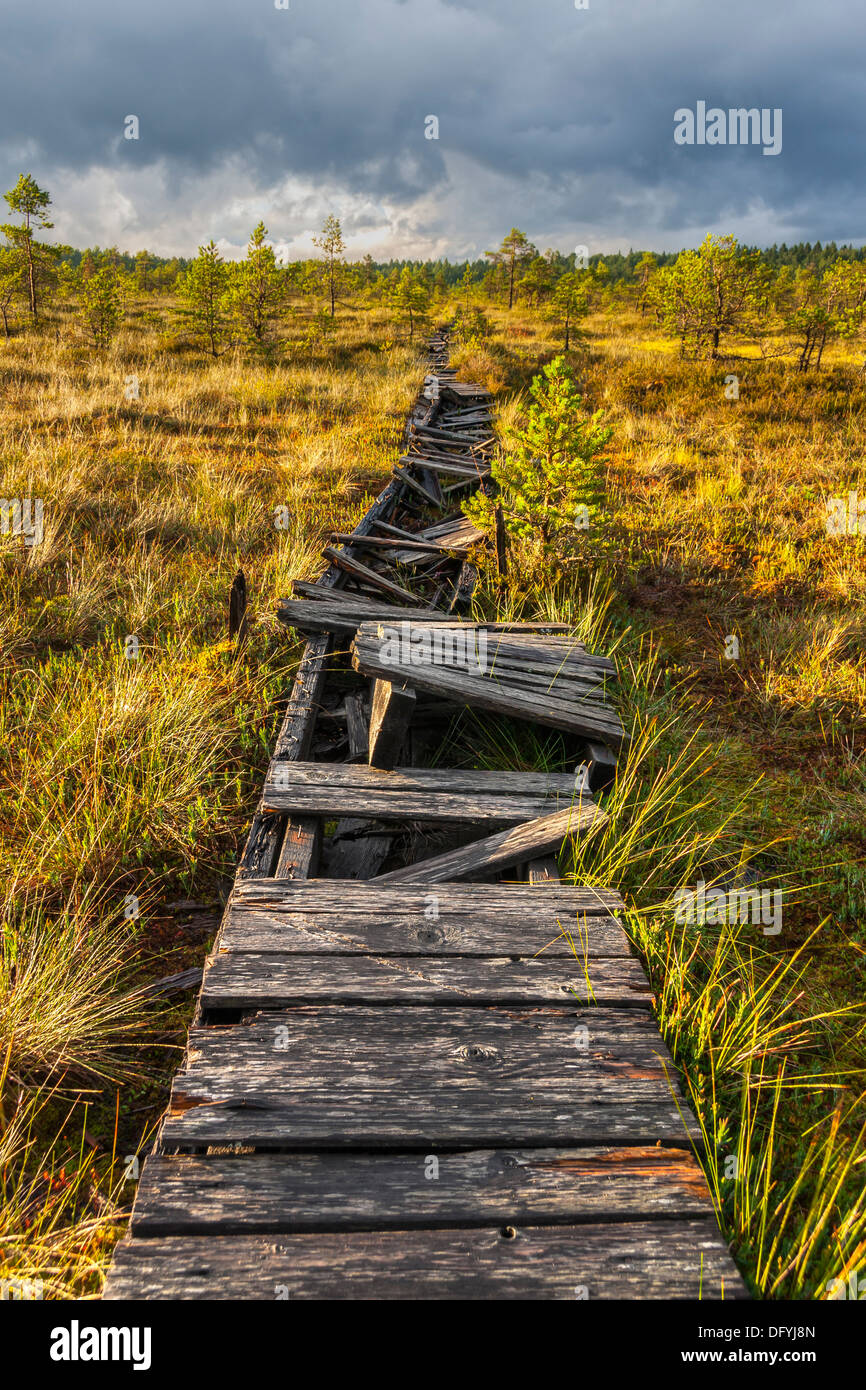 Broken walkway in a marsh in Estonia Stock Photo