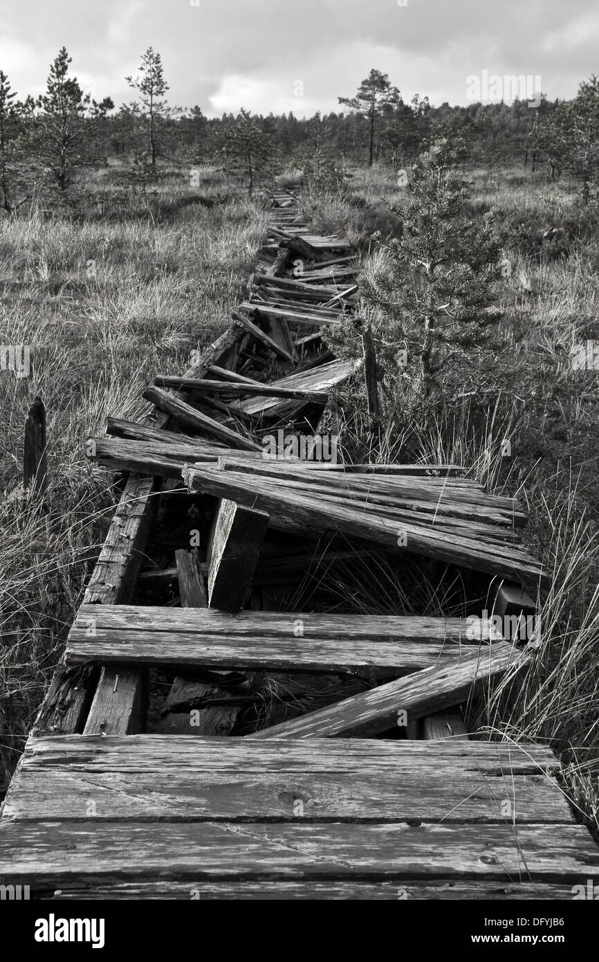 Broken road in a marsh in Estonia Stock Photo