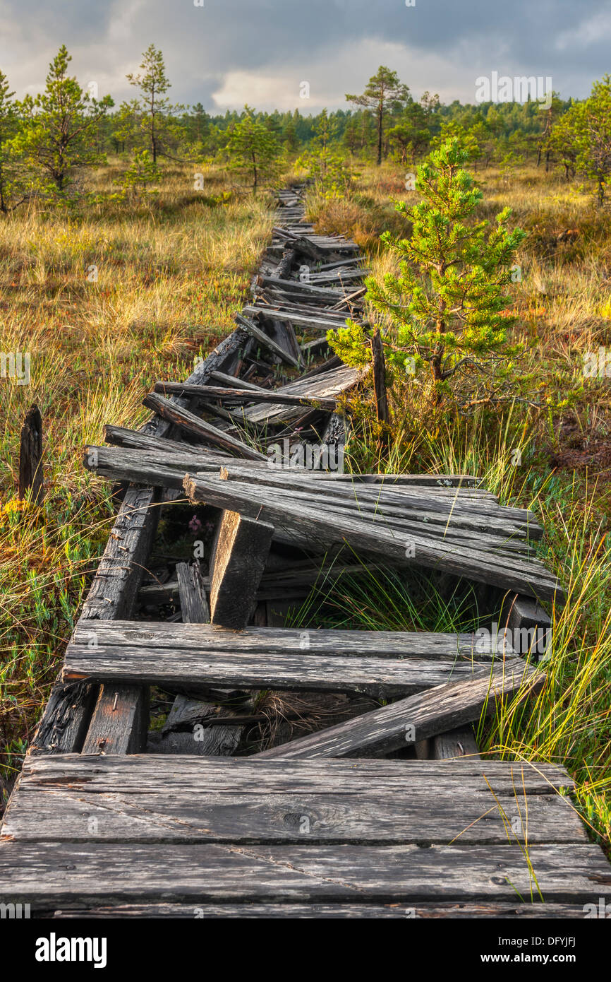 Broken walkway in a marsh in Estonia Stock Photo
