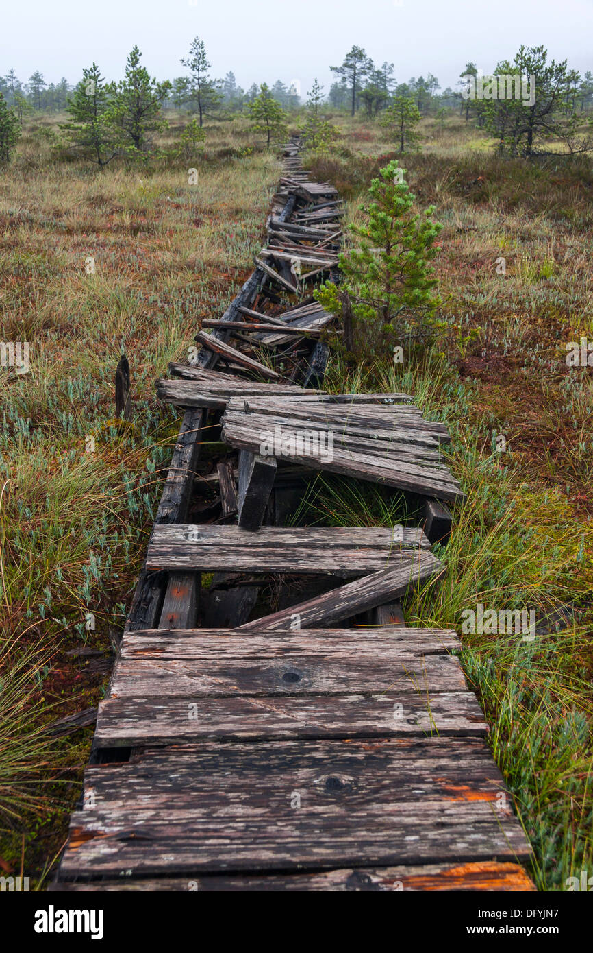Broken walkway in a marsh in Estonia Stock Photo