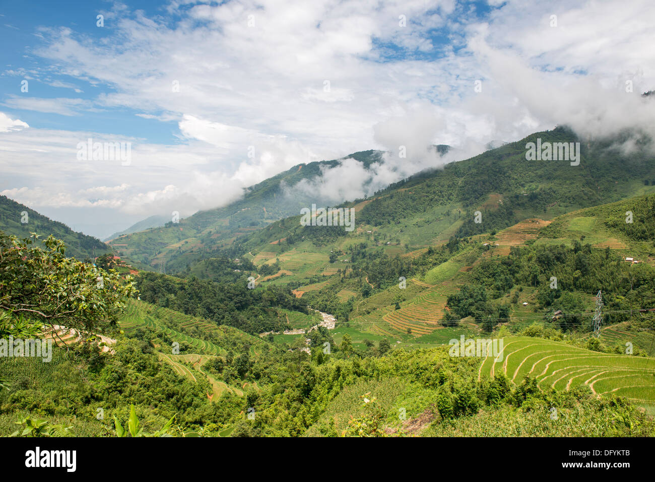 Landscape of rural Sa Pa high land, People make rice terrace and curved path on the mountain. Stock Photo