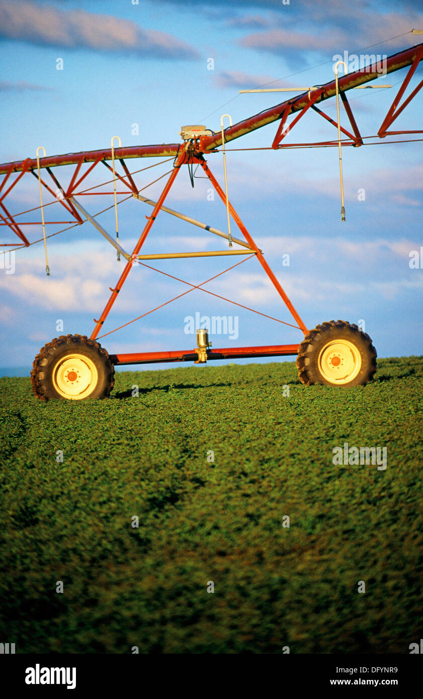Automatic irrigation machine Stock Photo Alamy