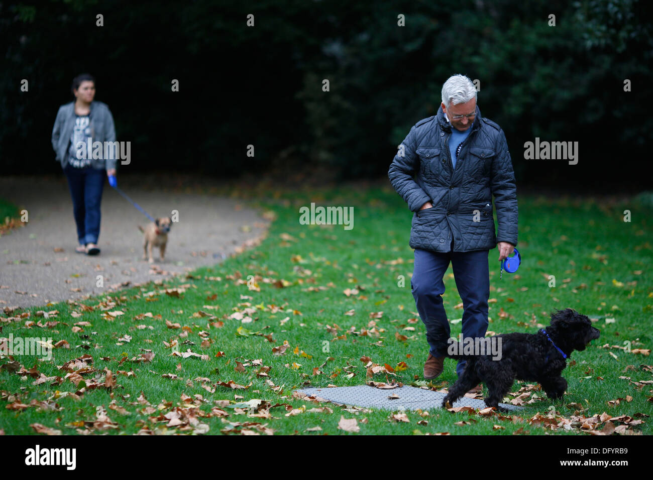 Westminster Dog of The Year competition Stock Photo Alamy