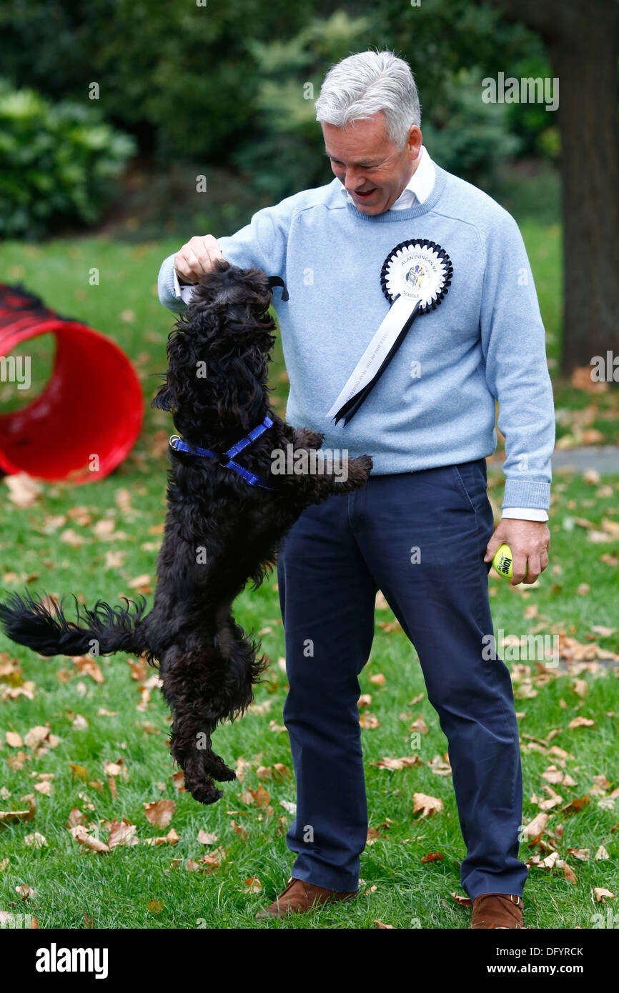 Westminster Dog of The Year competition Stock Photo Alamy