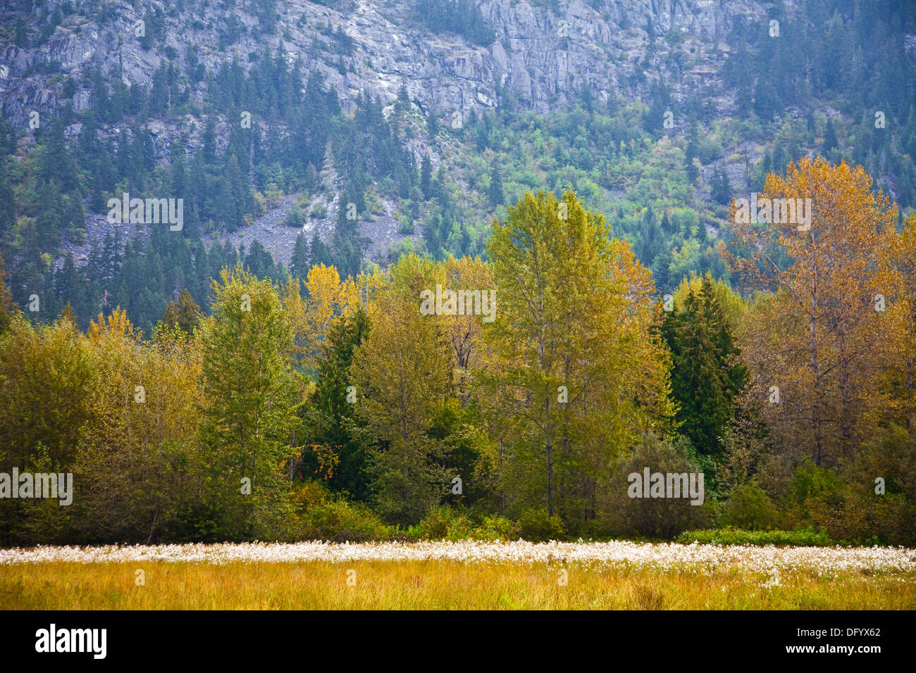 Farmland and forest in the Pemberton Valley, B.C. Canada Stock Photo