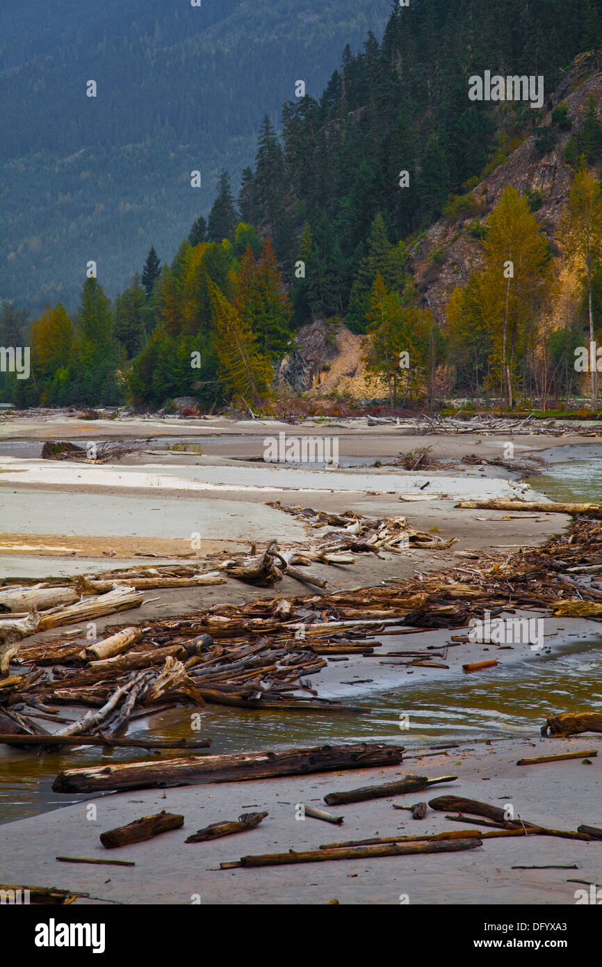 Flood plain on the Lillooet River in the Pemberton Valley, B.C. Canada Stock Photo