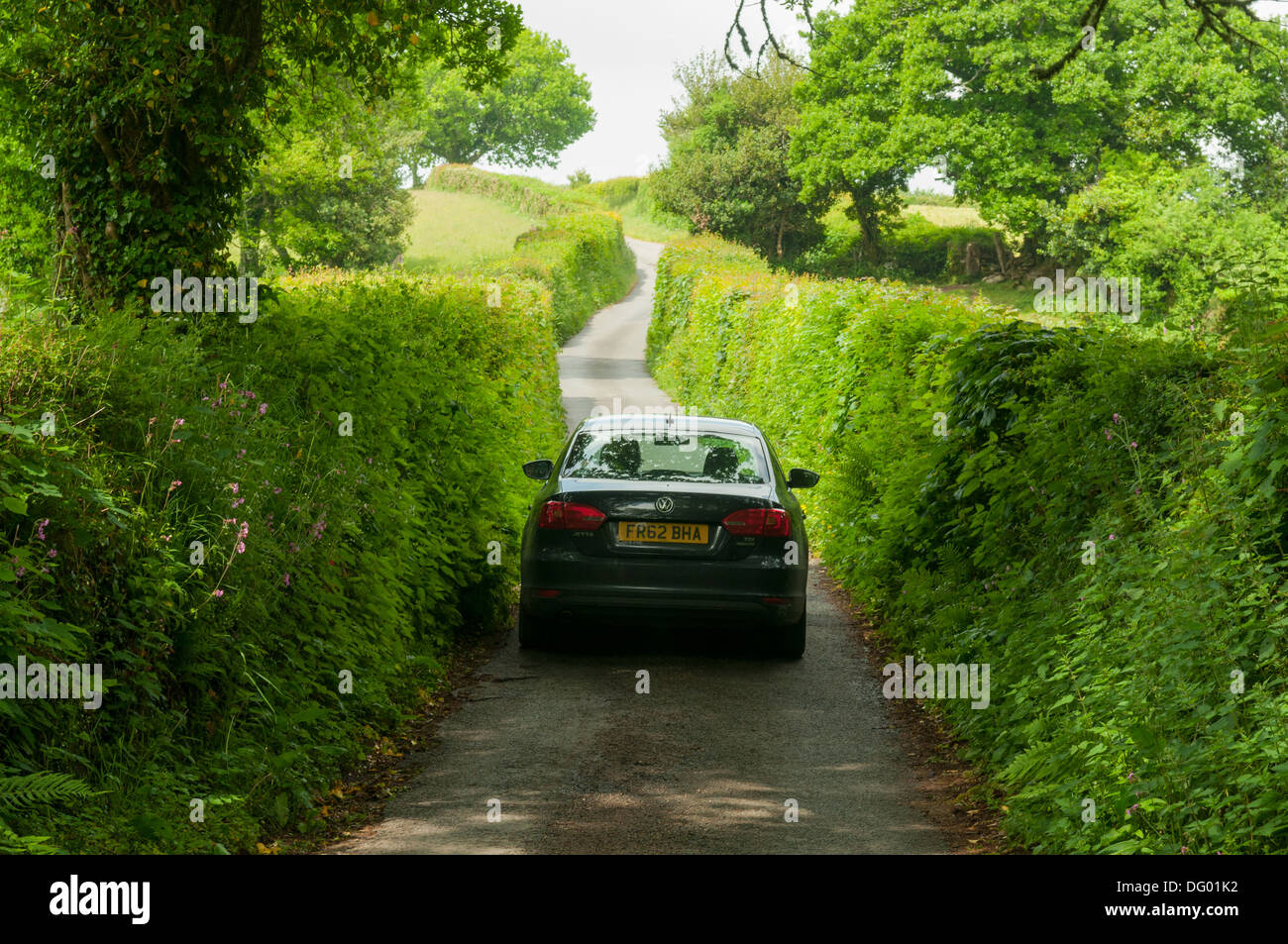 Typical Narrow Road in Devon, England Stock Photo 61466918 Alamy