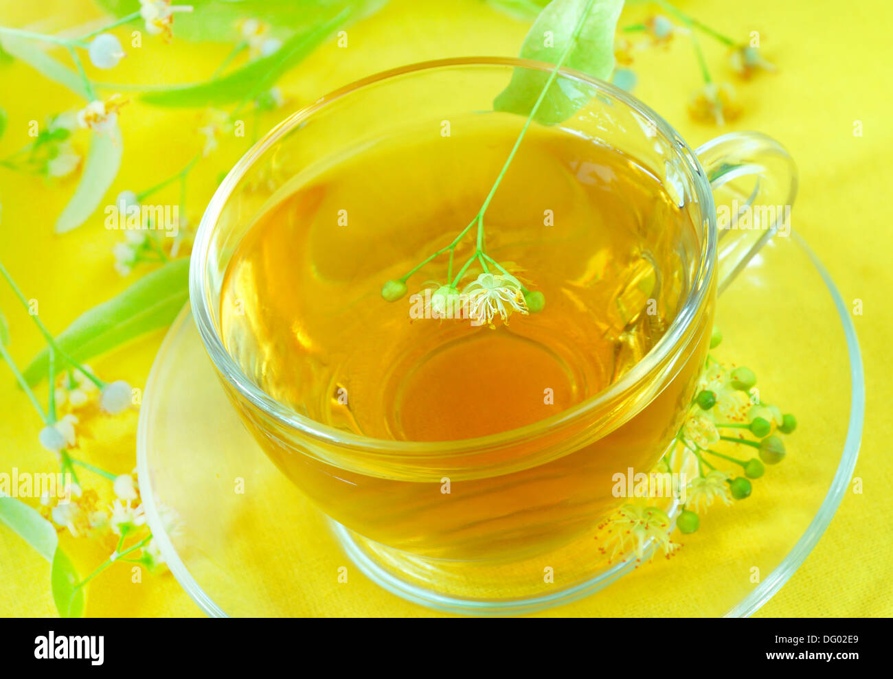 https://c8.alamy.com/comp/DG02E9/cup-of-herbal-tea-with-linden-flowers-DG02E9.jpg