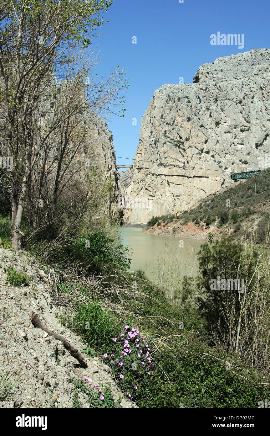 View of the gorge and bridge (Camino del Rey), Garganta del Chorro, El Chorro, Chorro Gorge, Malaga Province, Andalusia, Spain. Stock Photo