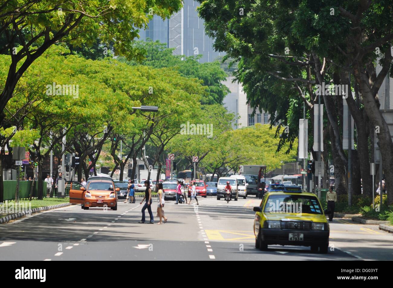 Singapore road with trees in Downtown Stock Photo Alamy