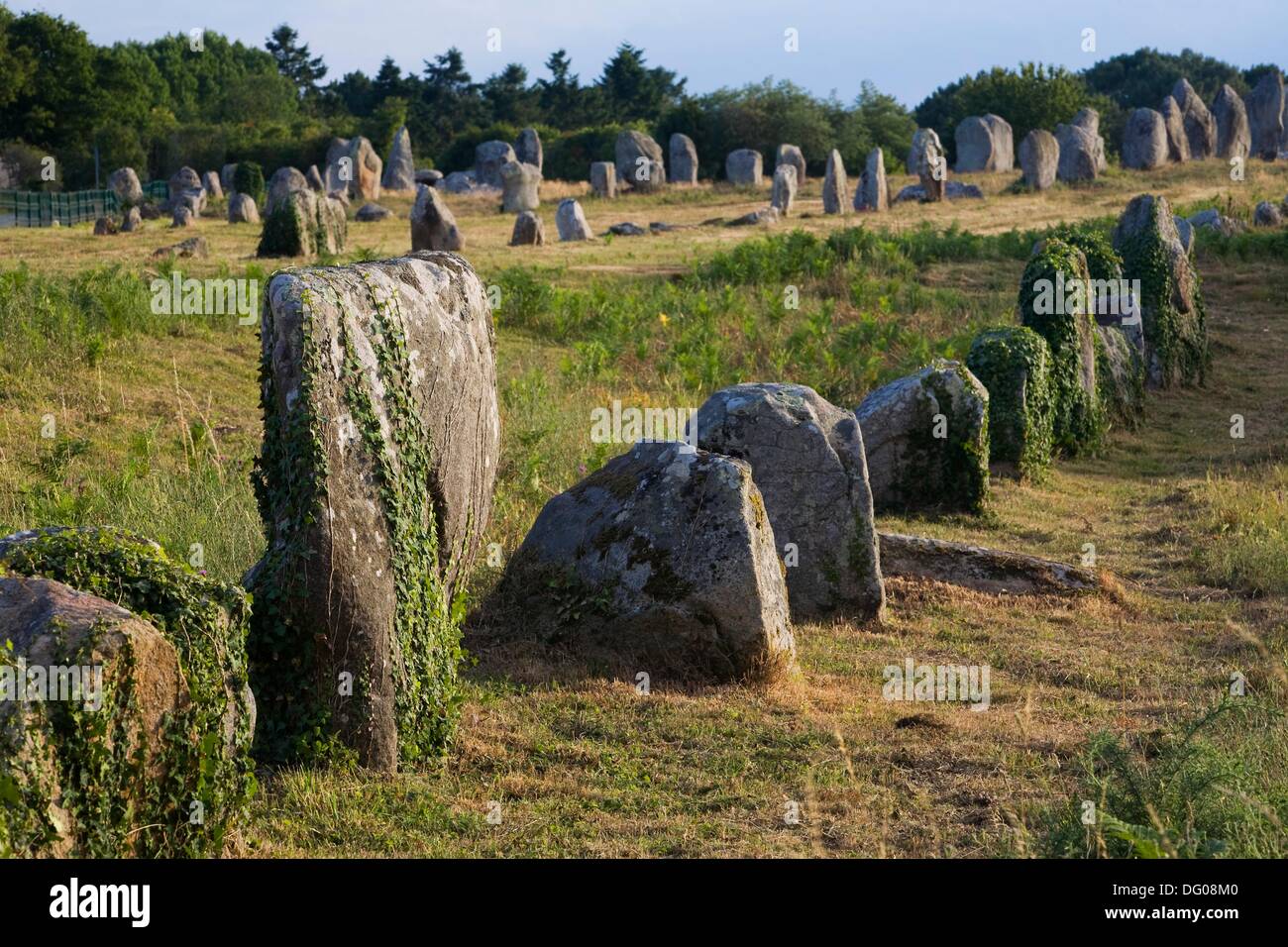 Megalitic alignments of standing stones of Kermario and Menec