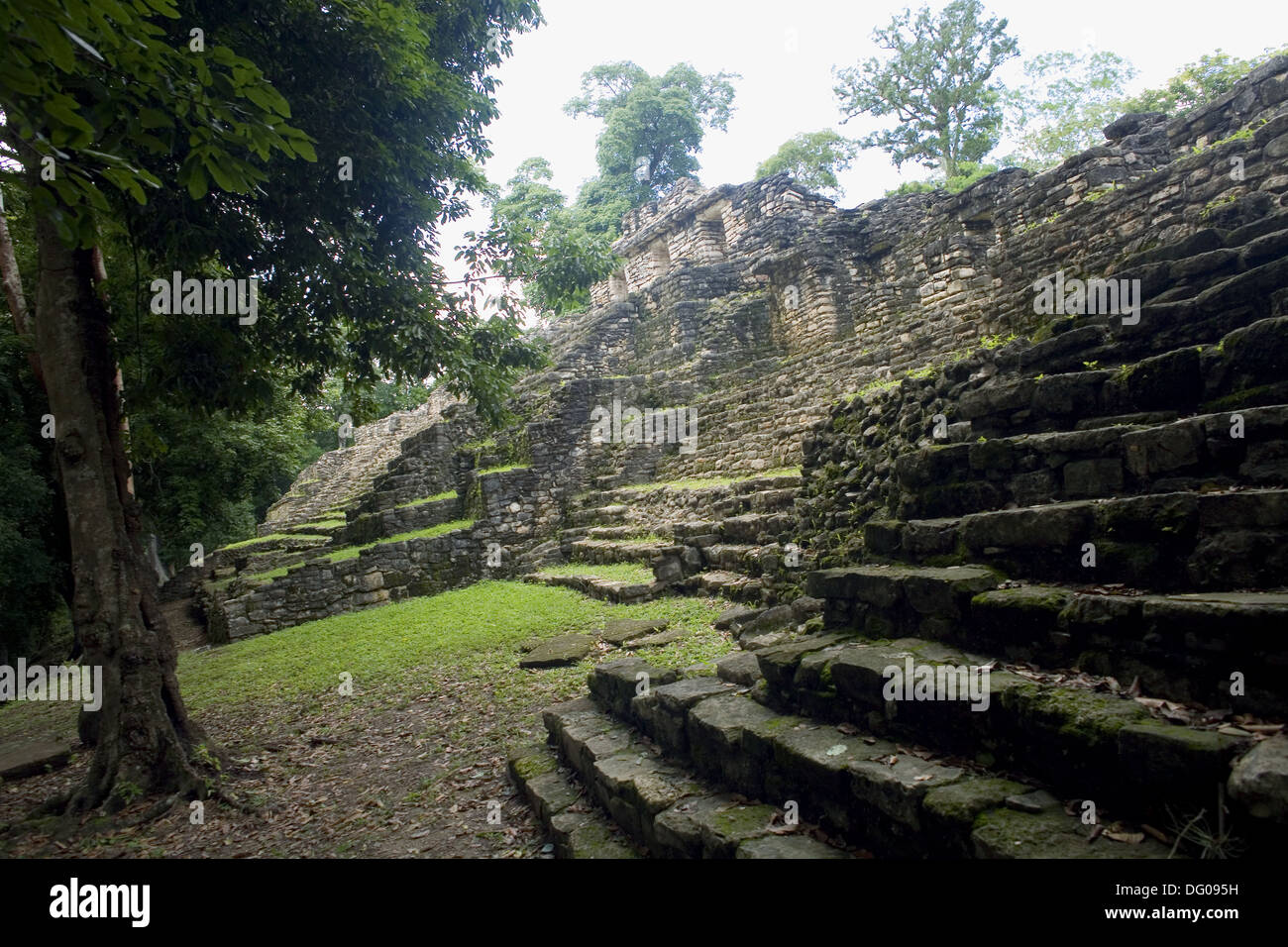 Mexico chiapas lacandon jungle north hi-res stock photography and ...