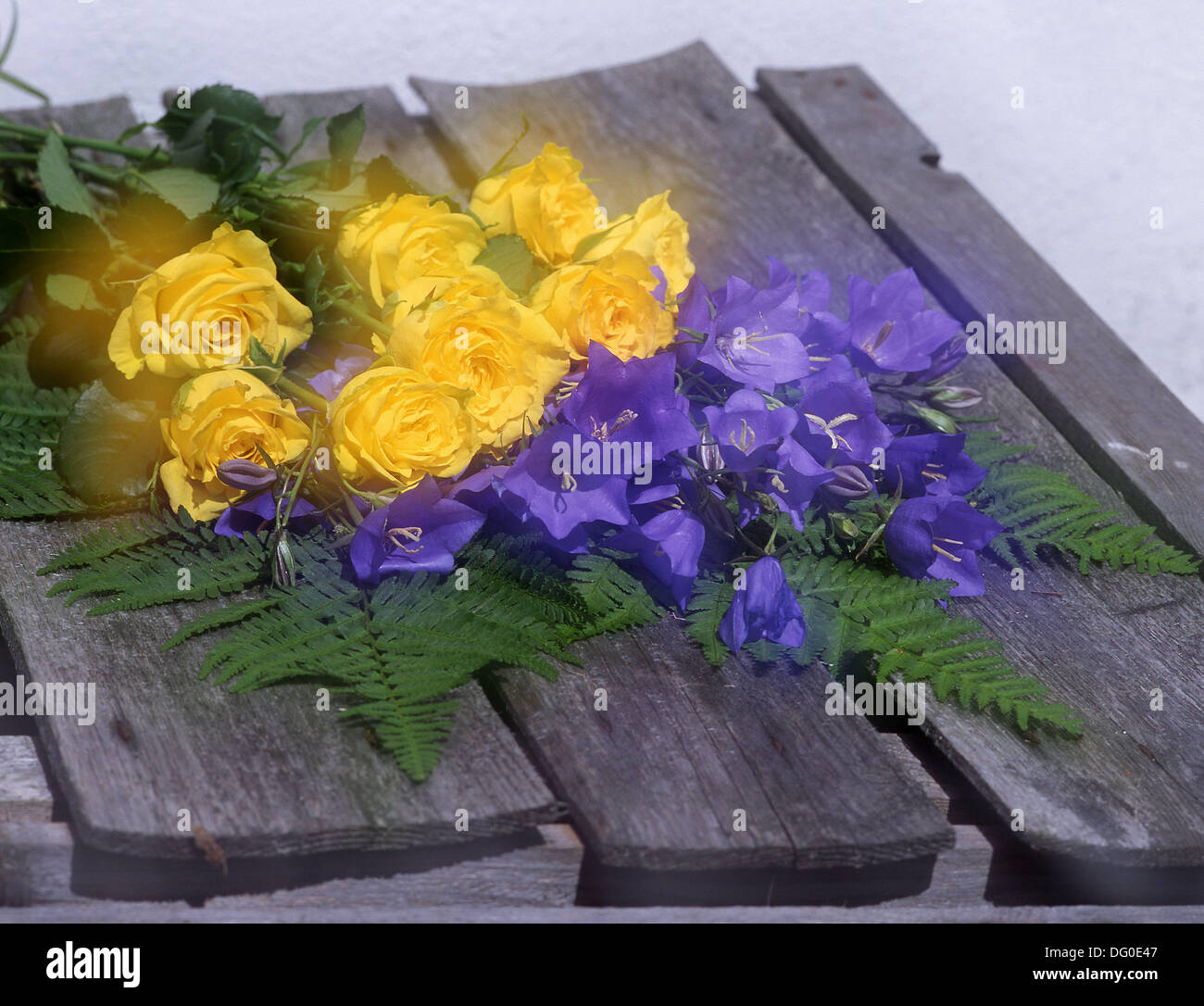 Yellow and blue flowers Stock Photo Alamy