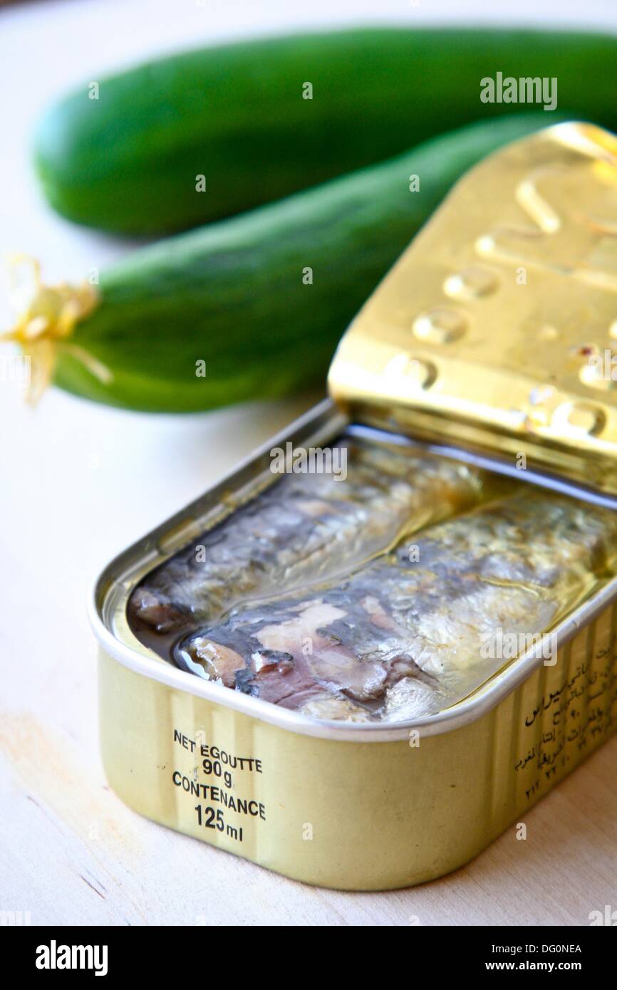 sardine Fish can Stock Photo Alamy