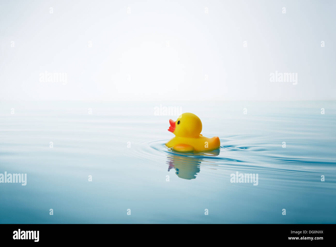 yellow rubber duck swimming on water with waves and ripples Stock Photo