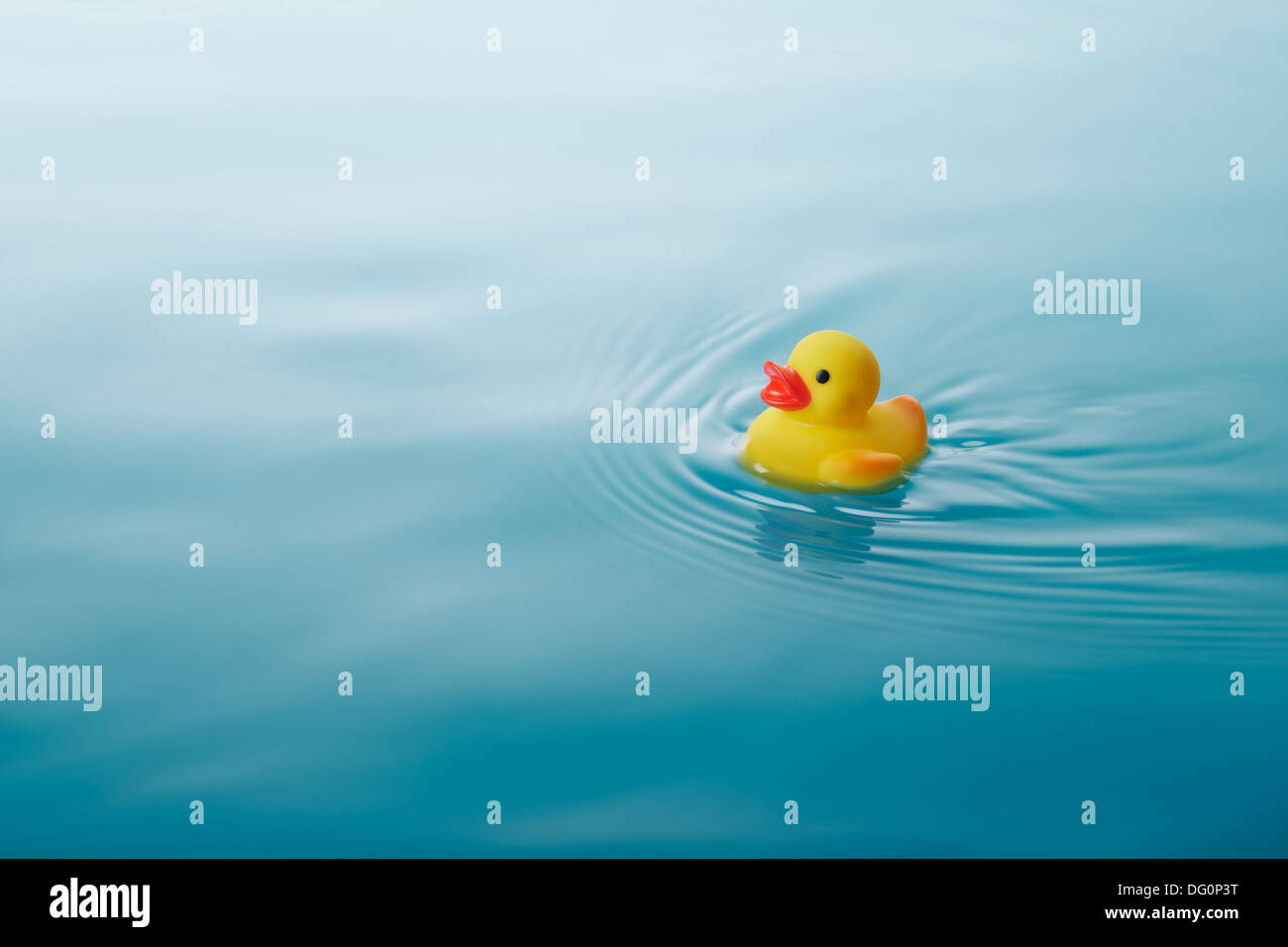 yellow rubber duck swimming on water causing waves and ripples Stock Photo