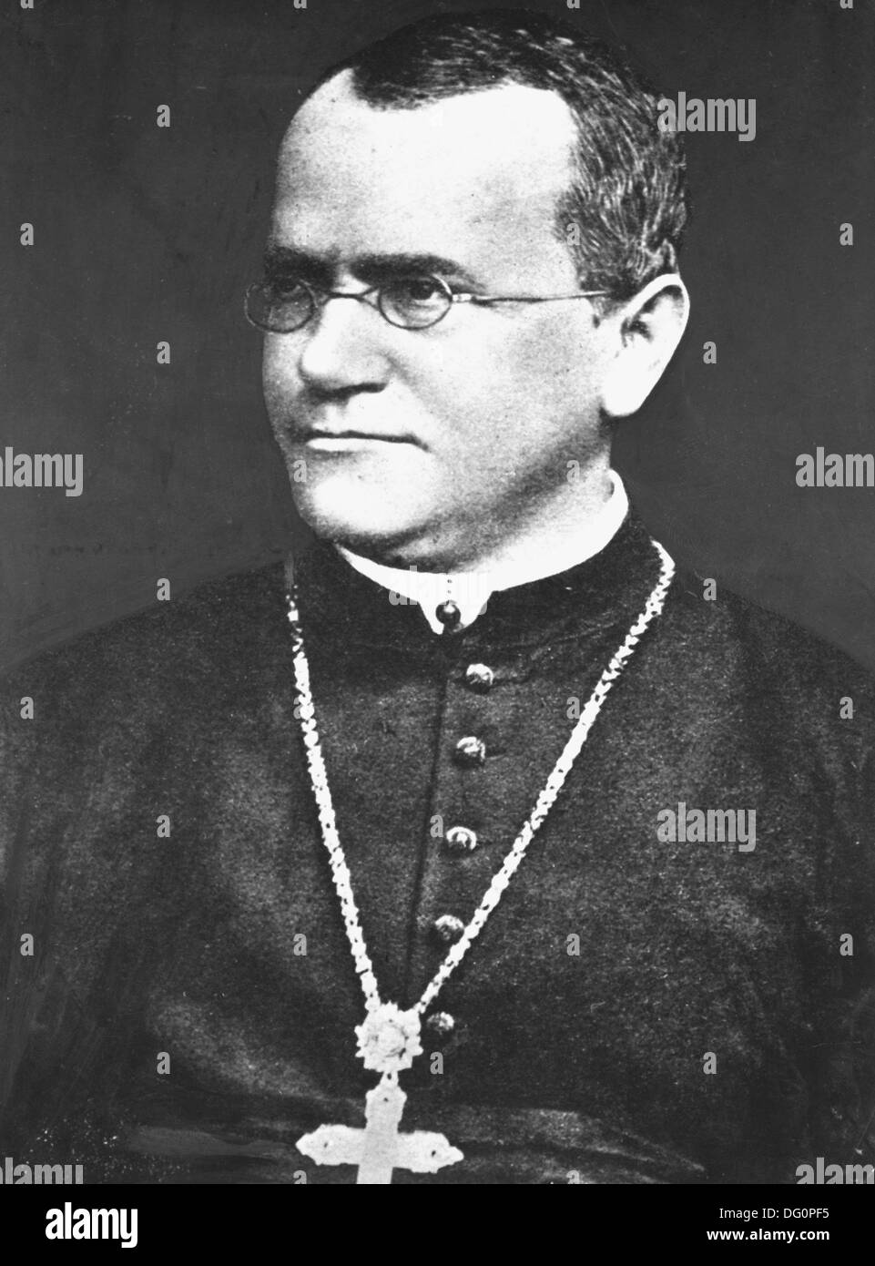 Gregor (Johann) Mendel, austrian scientist (1822-1884 Stock Photo ...