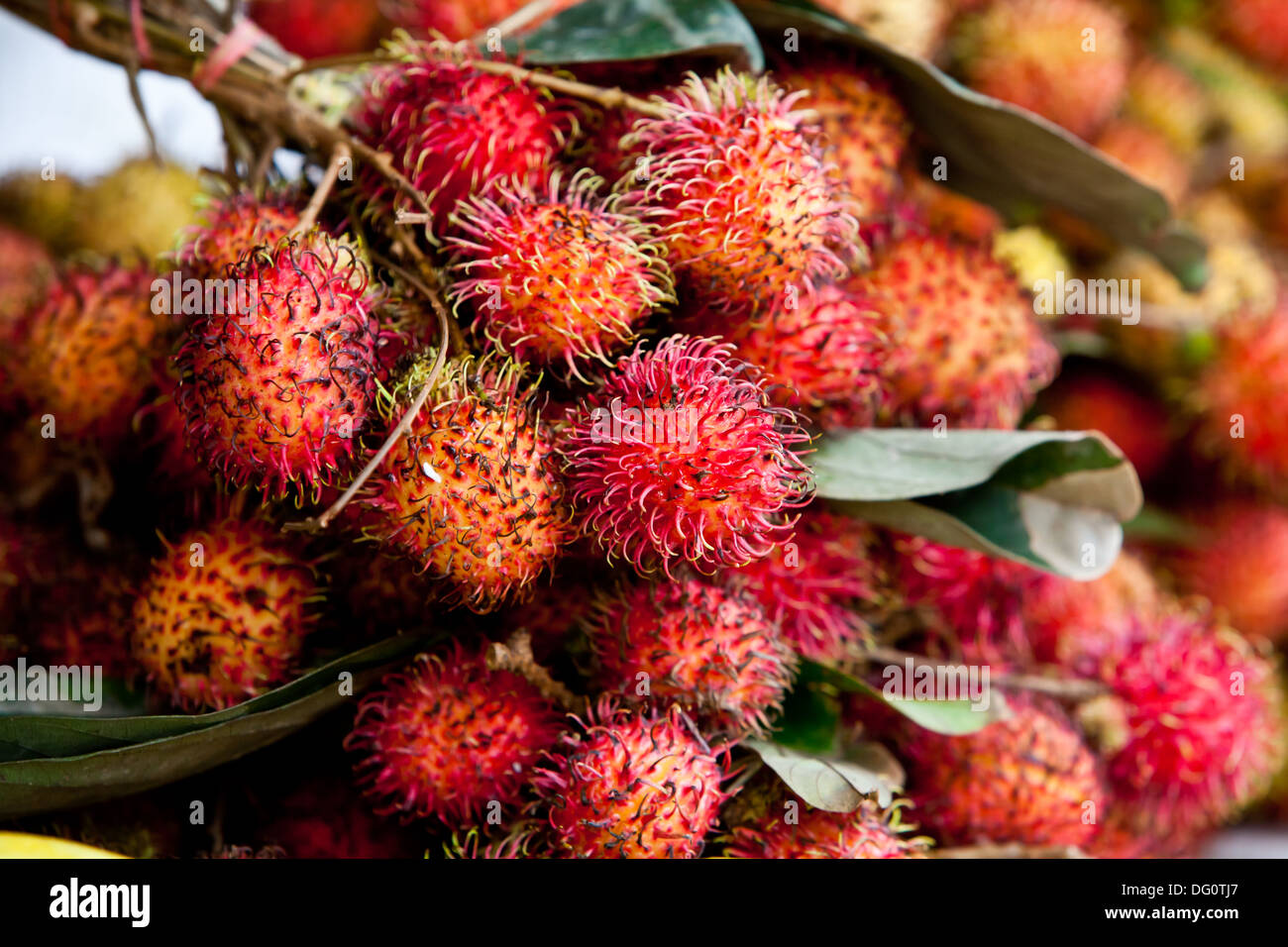 closeup of A bundle of dragon fruit is displayed in a market Stock Photo