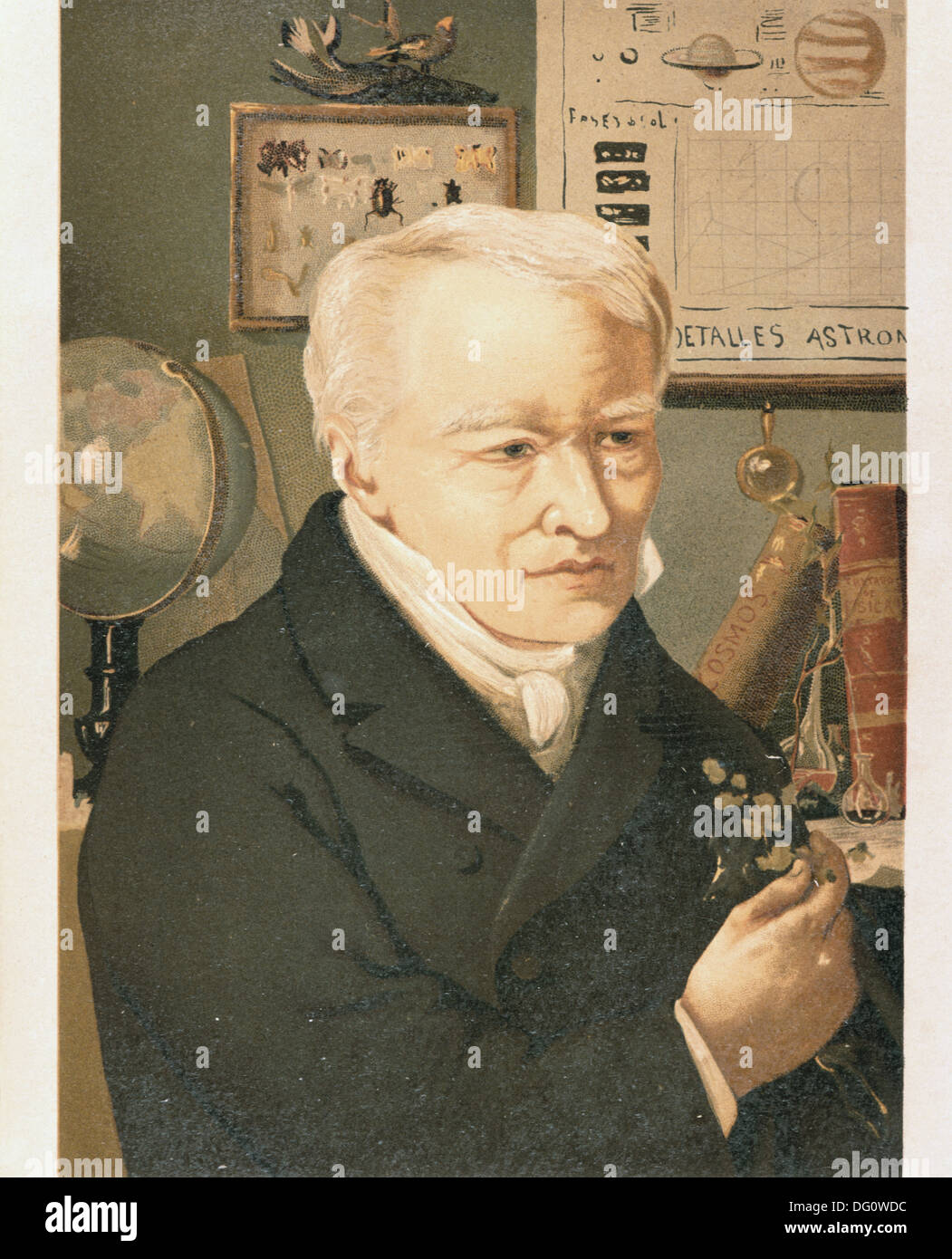 Alexander von Humboldt, german explorer and naturalist (17691859 Stock