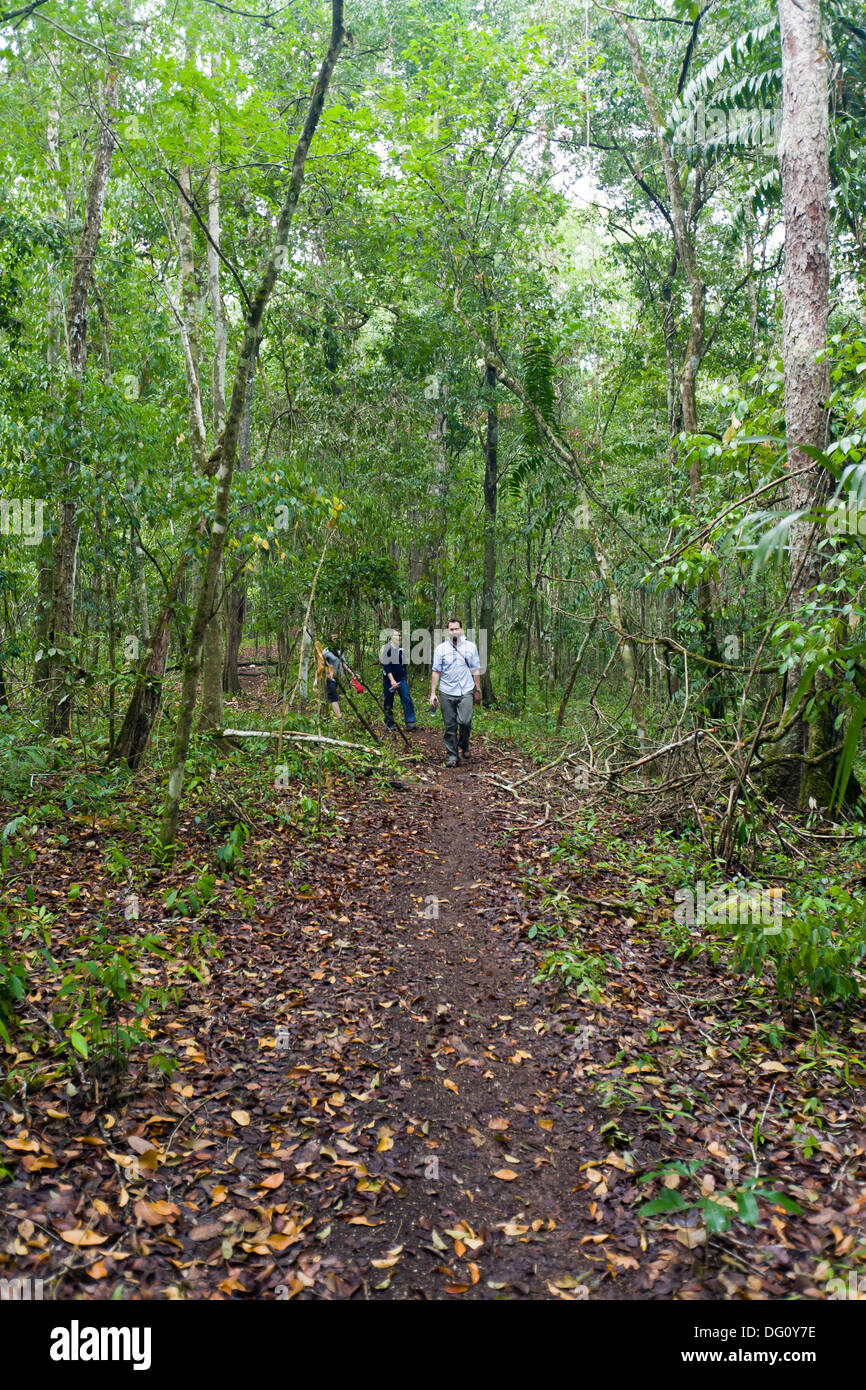 Guatemala, Peten, El Mirador, path through the jungle Stock Photo Alamy