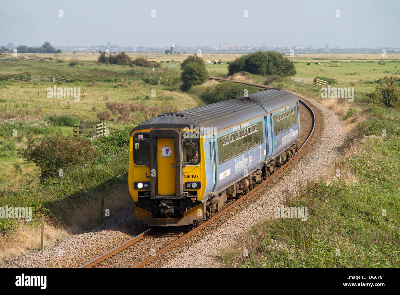 A class 156 diesel multiple unit working a Wherry Lines service at Stracey Arms in East Anglia. Stock Photo