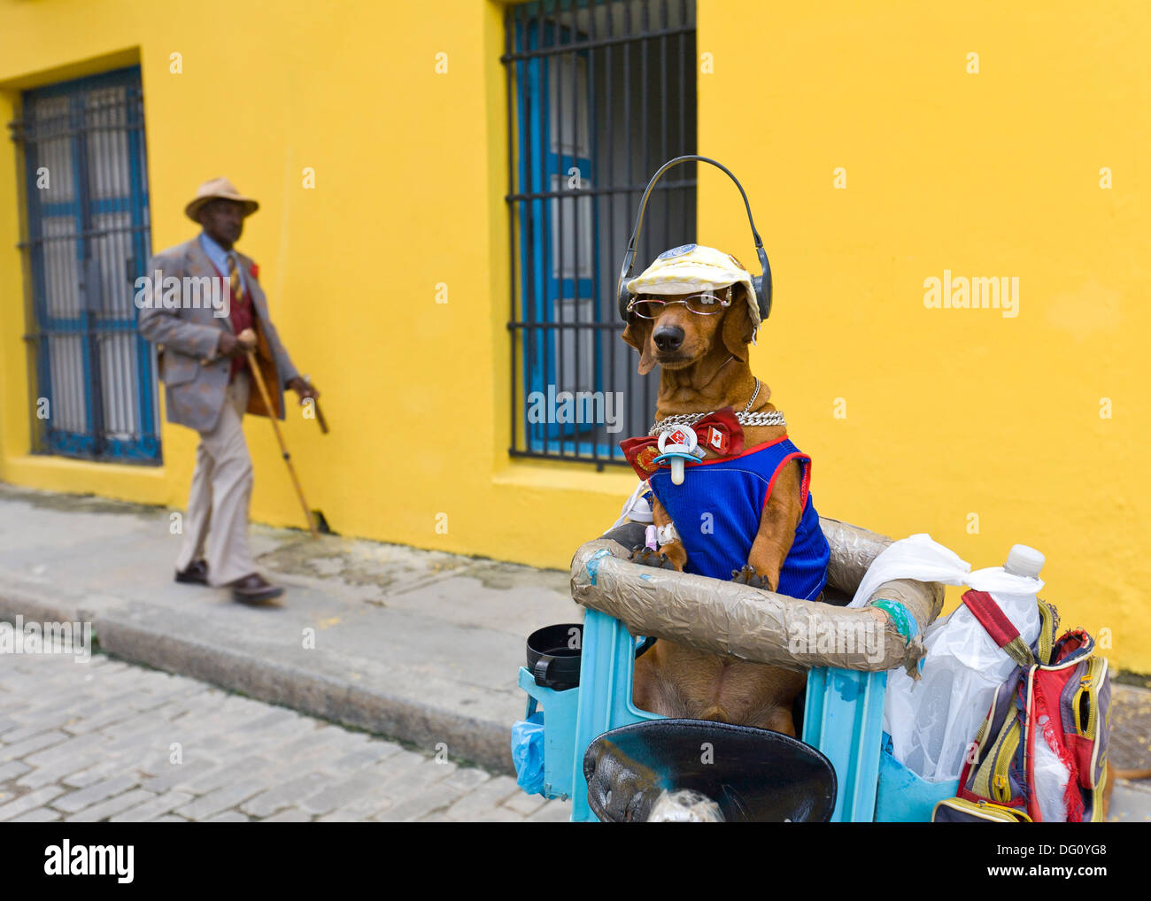 Man dressed as dog costume hires stock photography and images Alamy