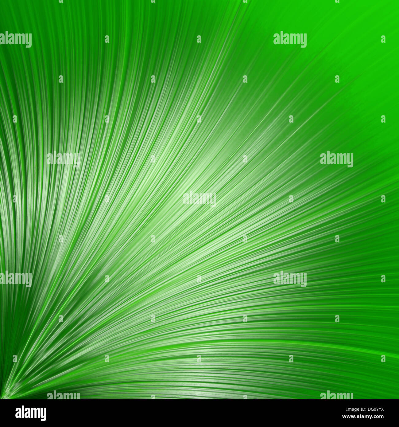 green abstract background, wavy lines Stock Photo - Alamy