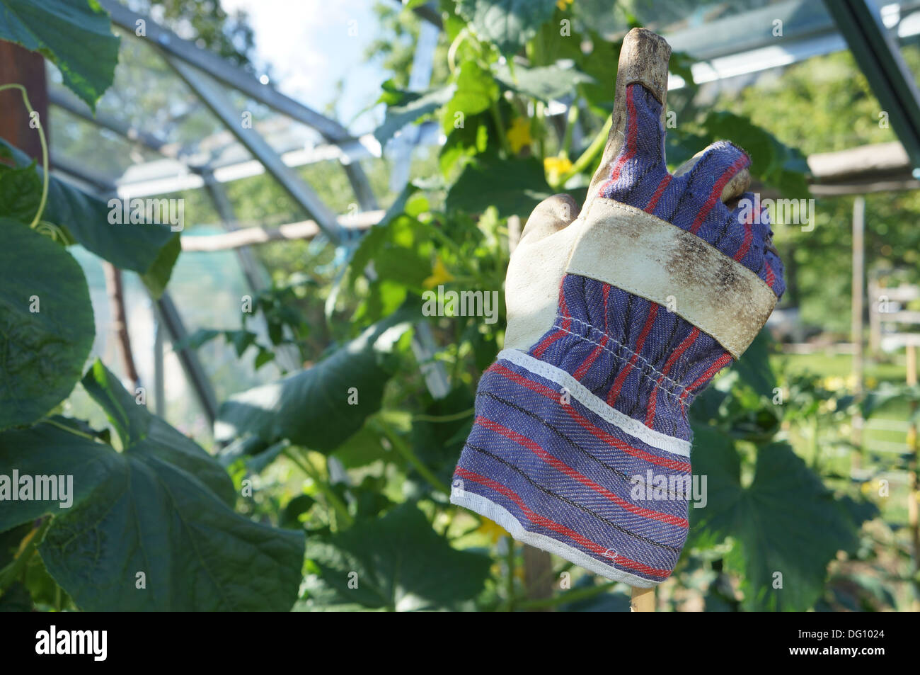 Gardening glove Stock Photo