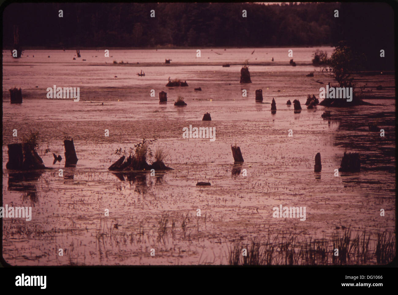 RIVER FLOWAGE (AN OVERFLOWING ONTO ADJACENT LAND) IS A RESULT OF