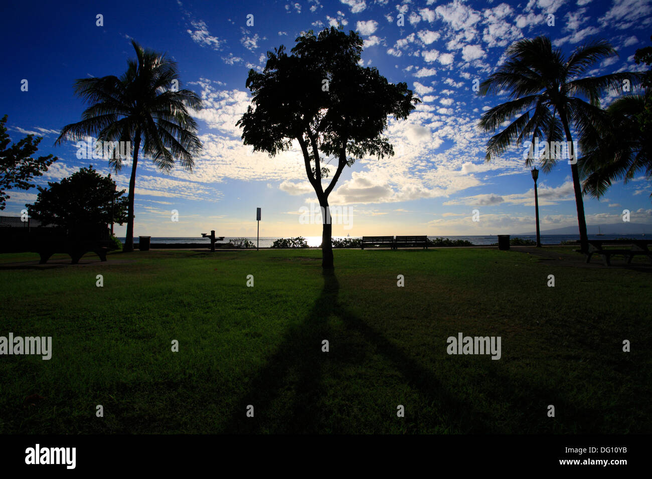 Afternoon in waikiki beach hi-res stock photography and images - Alamy