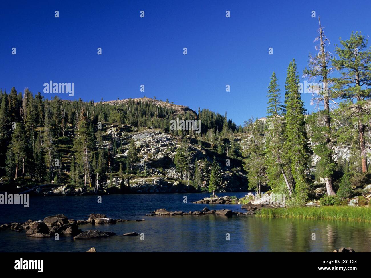 Plumas Nf High Resolution Stock Photography and Images Alamy