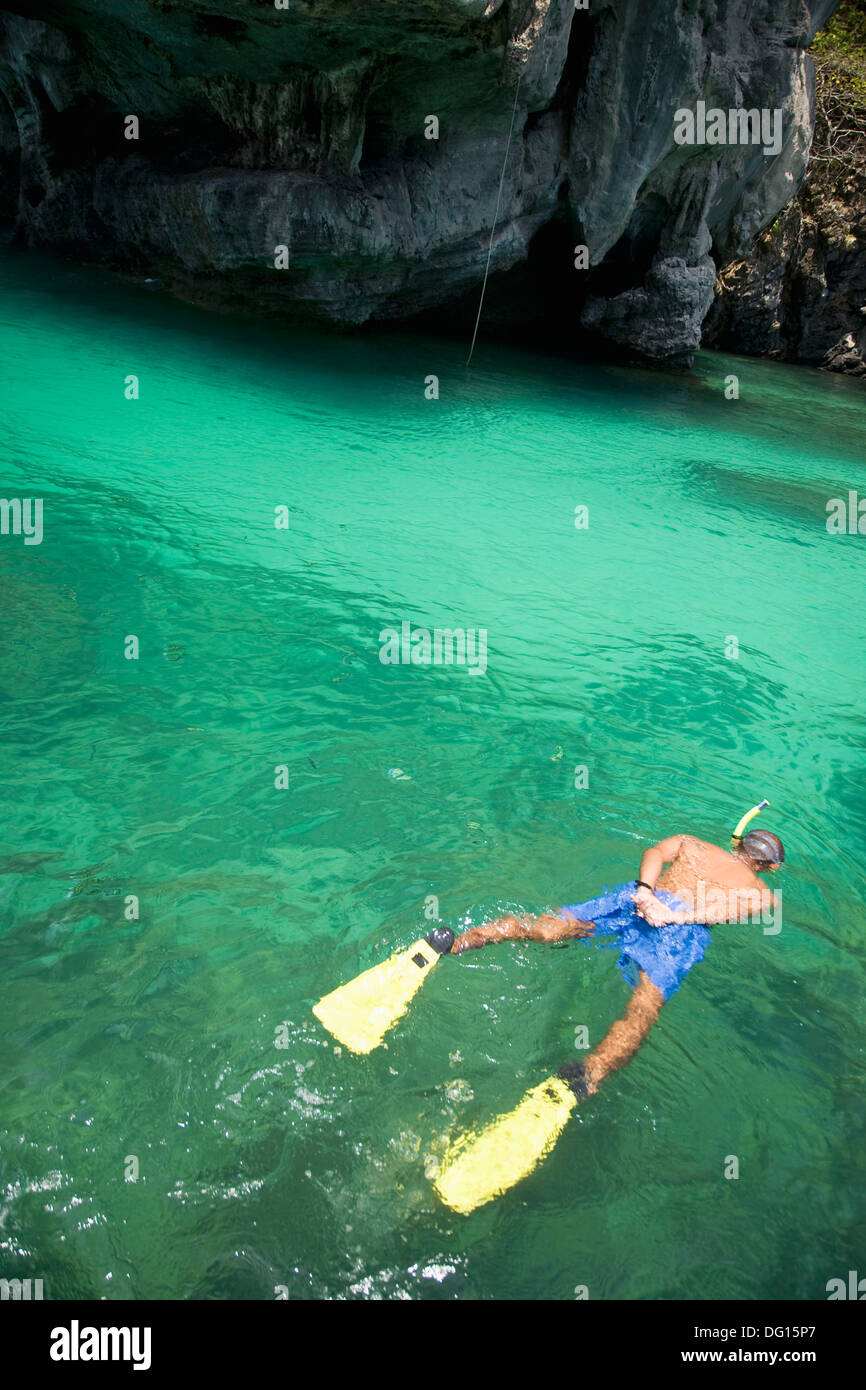 Thailand, Ko Phi Phi, snorkeling Stock Photo Alamy