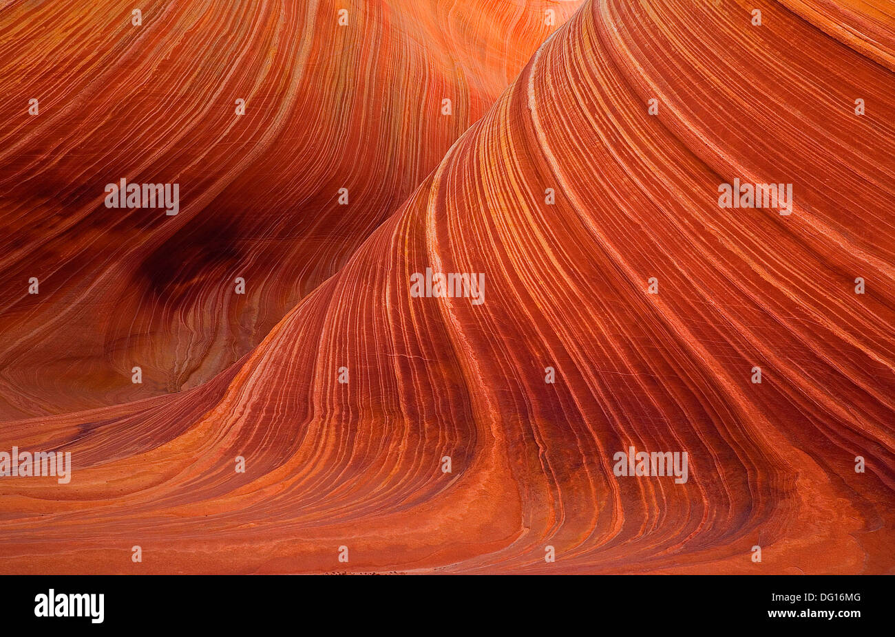 Swirls and curls produce ´The Wave´ at Coyote Buttes on the Arizona/Uyah border. Stock Photo