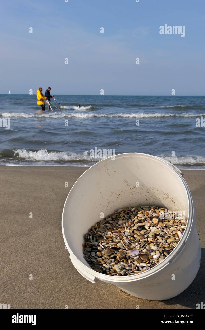 Tellines Shell Fishermen On The Espiguette Beach Grau Du