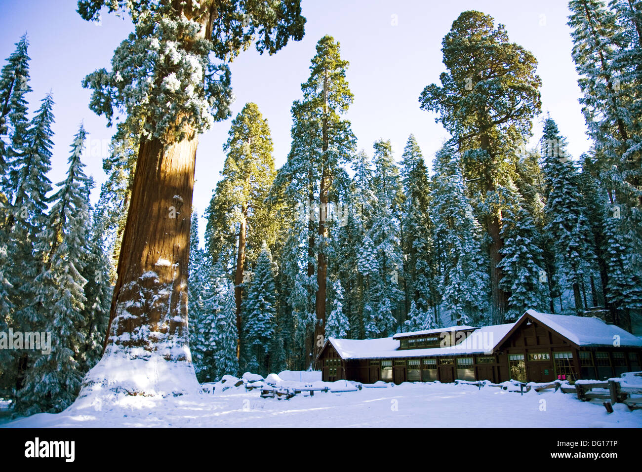 Ski lodge after fresh snow in Sequoia National Park, California. USA