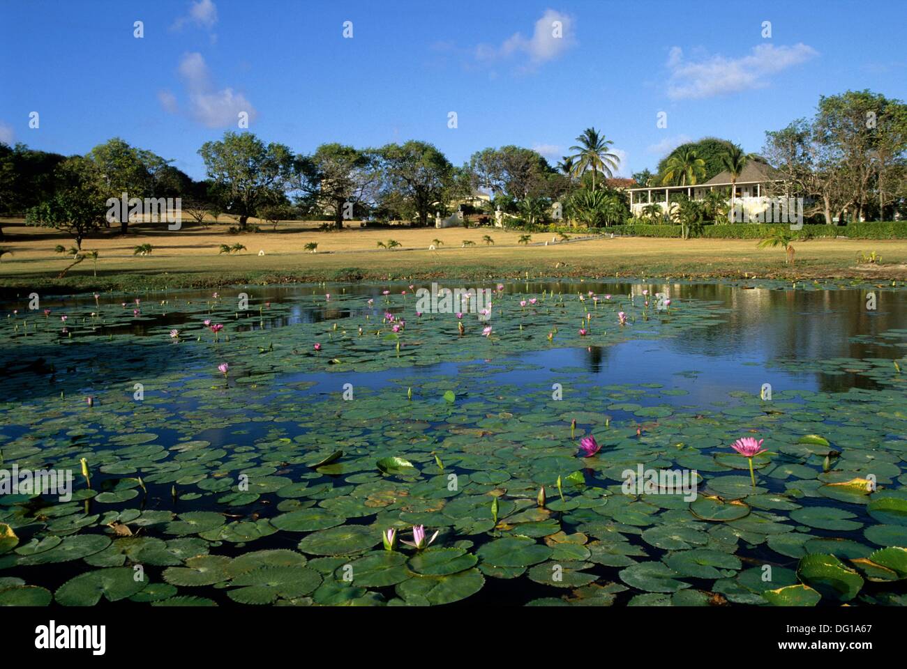 The Cotton House,the luxuary hotel of Mustik,Grenadines islands,Saint